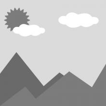 Шарикоподшипник самонастраивающийся OEM 1210